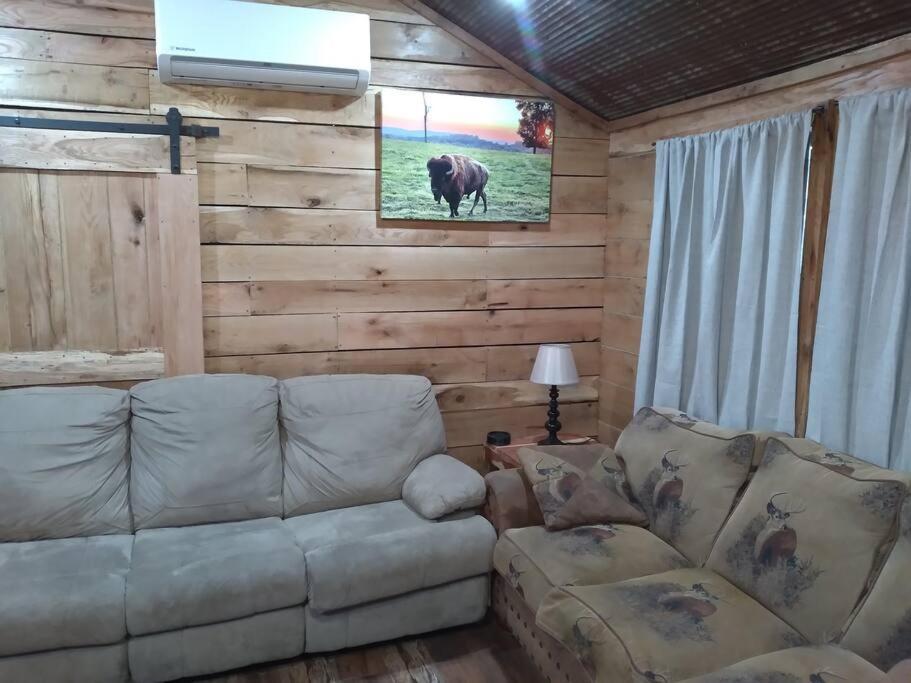 Cabin With A Tree House On A Buffalo Farm . Marshall Dış mekan fotoğraf